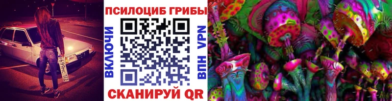 Купить закладки  Лесосибирск  Псилоцибиновые грибы Psilocybine cubensis 