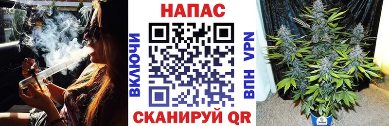 Купить  Лесосибирск  Канабис сатива 
